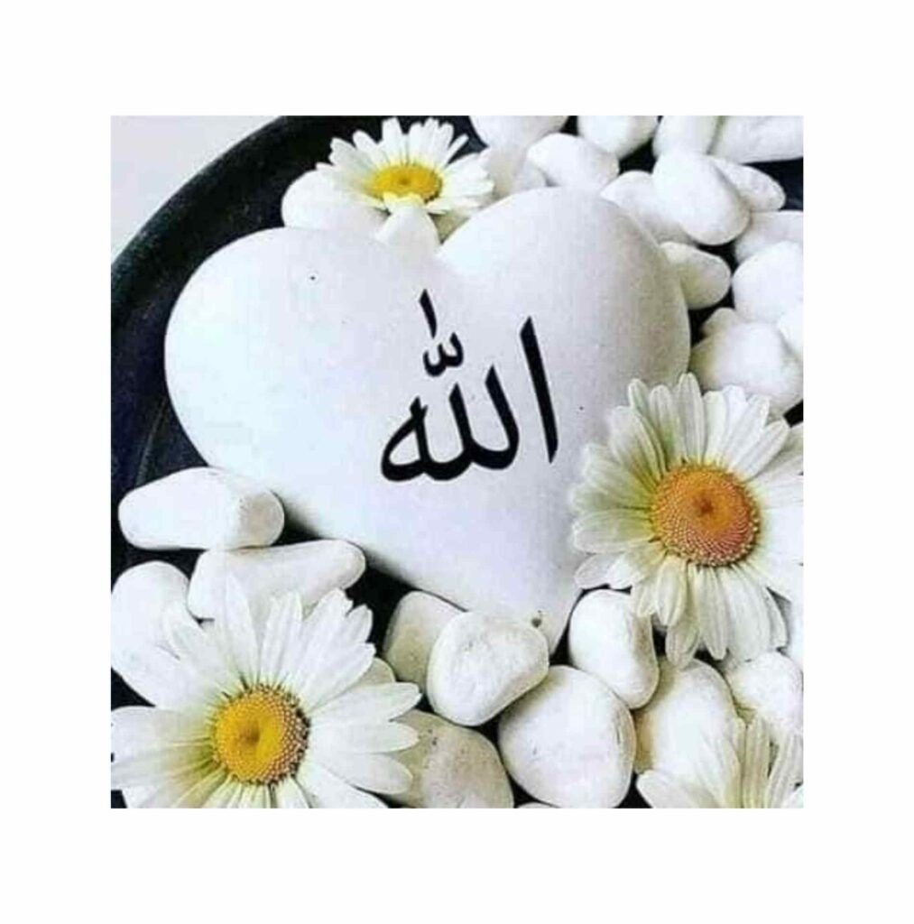 Allah Dp