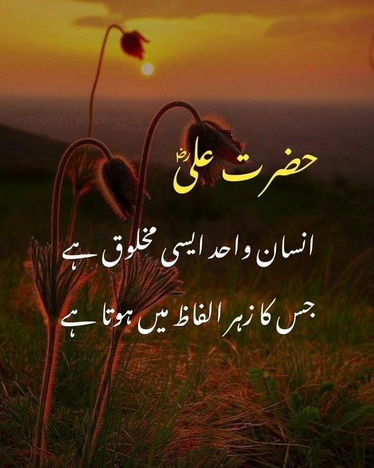 Hazrat Ali Quotes