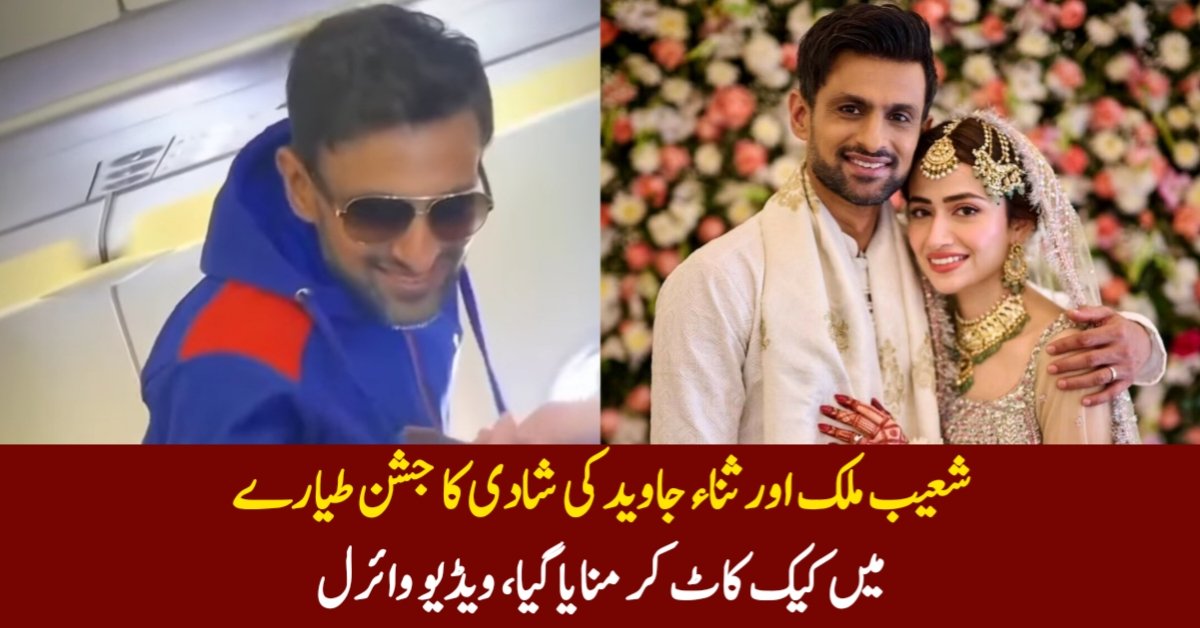 شعیب ملک اور ثناء جاوید کی شادی کا جشن طیارے میں کیک کاٹ کر منایا گیا، ویڈیو وائرل